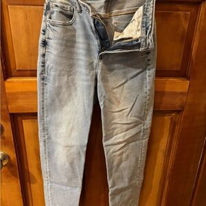 American Eagle Outfitters Light Blue Denim